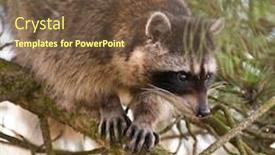  Presentation with cute - PPT theme having cute-close-up-view background and a tawny brown colored foreground