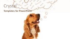  Presentation with bone - Presentation theme having cute cocker spaniel sitting and dreaming about a bone in a thought bubble background and a cream colored foreground