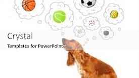  Presentation with thought - Slides enhanced with cute cocker spaniel thinking about balls in thought bubbles above her head background and a white colored foreground