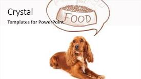  Presentation with thought - Presentation theme with cute cocker spaniel thinking about a bowl of food in a thought bubble above her head background and a sky blue colored foreground