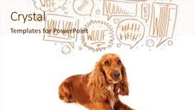  Presentation with puppy english cocker spaniel - Amazing slide deck having the background in library backdrop and a light gray colored foreground