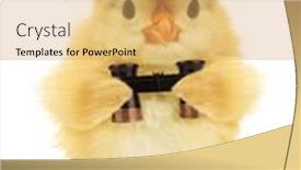  Presentation with explorer - Colorful slide deck enhanced with cute-cool-chick-adventurer-explorer backdrop and a yellow colored foreground