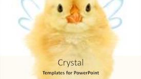  Presentation with angel wings - Slide set having cute-cool-chick-angel background and a blonde colored foreground