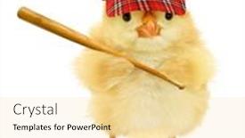  Presentation with chick - Amazing slide deck having cute-cool-chick-baseball-player backdrop and a blonde colored foreground