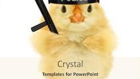  Presentation with chick - Presentation theme featuring cute-cool-chick-cop-policeman background and a blonde colored foreground