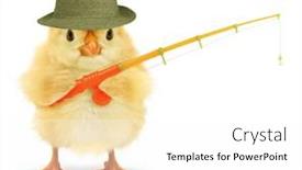  Presentation with fisherman - Slide deck having cute-cool-chick-fisherman background and a white colored foreground