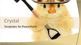  Presentation with chick - Slide deck consisting of cute-cool-chick-gravedigger background and a yellow colored foreground