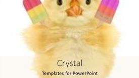  Presentation with chick - Colorful slide set enhanced with cute-cool-chick-ice-cream backdrop and a blonde colored foreground