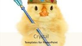  Presentation with king crown - Presentation design with cute-cool-chick-king background and a blonde colored foreground