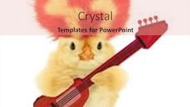  Presentation with electric guitar - Presentation theme enhanced with cute-cool-chick-musician background and a coral colored foreground
