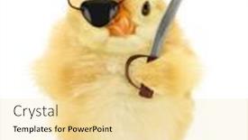  Presentation with pirate - Audience pleasing PPT theme consisting of cute-cool-chick-pirate-privateer backdrop and a blonde colored foreground