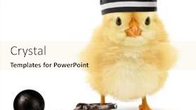  Presentation with chick - Slides having cute-cool-chick-prisoner-jailbird background and a blonde colored foreground