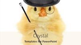  Presentation with rich man - Colorful presentation enhanced with cute-cool-chick-rich-man backdrop and a blonde colored foreground