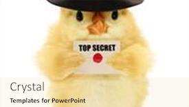  Presentation with secret - Slide deck featuring cute-cool-chick-spy background and a blonde colored foreground