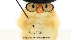  Presentation with professor - Cool new PPT layouts with cute-cool-chick-teacher-professor backdrop and a blonde colored foreground