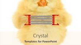  Presentation with spring training - Amazing PPT layouts having cute-cool-chick-wellness-training backdrop and a blonde colored foreground