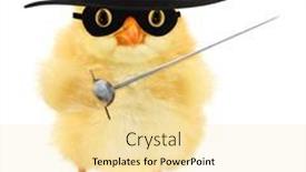  Presentation with vigilante - Colorful presentation theme enhanced with cute-cool-chick-zorro-masked backdrop and a blonde colored foreground