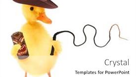  Presentation with cute duck - PPT layouts enhanced with cute-cool-duckling-adventurer-duck background and a white colored foreground