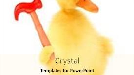  Presentation with cute duck - Slide set with cute-cool-duckling-manual-worker background and a blonde colored foreground