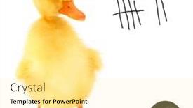  Presentation with duck - Beautiful slide deck featuring cute-cool-duckling-prisoner-duck backdrop and a blonde colored foreground