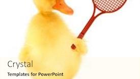  Presentation with cute duck - PPT theme having cute-cool-duckling-tennis-player background and a blonde colored foreground