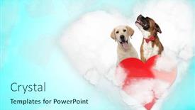  Presentation with boxer - Amazing theme having cute-couple-of-labrador-retriever backdrop and a cool aqua colored foreground