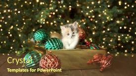  Presentation with ornament - PPT theme having cute-curious-kitten background and a tawny brown colored foreground