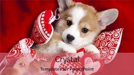 Presentation with puppy - Slide deck with cute dog - corgi puppy background and a coral colored foreground