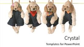  Presentation with old dog - PPT theme having cute dog - litter of puppies - four background and a white colored foreground