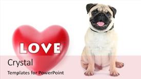  Presentation with cute flower heart - Audience pleasing slide deck consisting of cute dog and big heart backdrop and a coral colored foreground