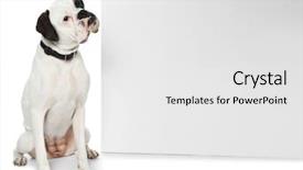  Presentation with advertising - Slide deck with cute dog and blank advertising background and a white colored foreground
