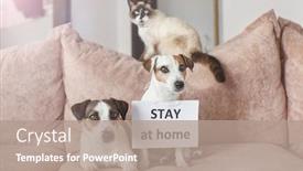  Presentation with dog cat - PPT layouts having cute-dog-and-cat background and a coral colored foreground