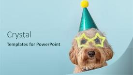  Presentation with cute birthday - Theme consisting of cute-dog-at-a-birthday background and a light blue colored foreground