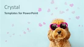  Presentation with valentines day - Presentation theme enhanced with cute-dog-celebrating-valentines-day background and a sky blue colored foreground