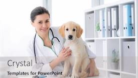  Presentation with veterinary - Cool new PPT layouts with cute-dog-examined-by-doctor backdrop and a coral colored foreground