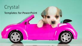  Presentation with pink - Presentation theme enhanced with cute-dog-in-a-pink background and a mint green colored foreground