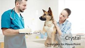  Presentation with paw - PPT theme having cute dog keeping one paw background and a soft green colored foreground