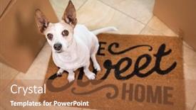  Presentation with sweet - Presentation theme having cute-dog-sitting-on-home background and a red colored foreground