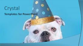  Presentation with costume - Beautiful presentation featuring cute-dog-with-a-costume backdrop and a light blue colored foreground