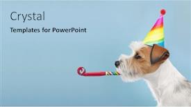  Presentation with cute birthday - Slide deck enhanced with cute-dog-with-colorful-party background and a light blue colored foreground
