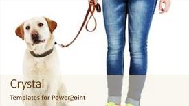  Presentation with sad girl - Colorful PPT layouts enhanced with cute dog with girl isolated backdrop and a cream colored foreground