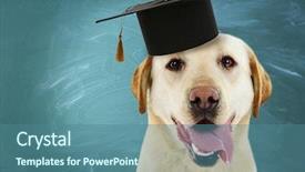  Presentation with education cute - PPT theme featuring cute dog with grad hat background and a ocean colored foreground