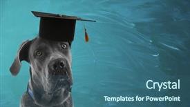  Presentation with education cute - Slide set with cute dog with grad hat background and a ocean colored foreground