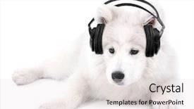  Presentation with dog baby cute child - PPT layouts having cute dog with headphones isolated background and a sky blue colored foreground