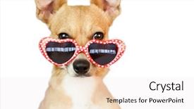  Presentation with cute flower heart - Colorful slide deck enhanced with cute dog with heart sunglasses backdrop and a white colored foreground
