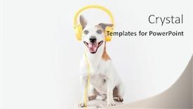  Presentation with yellow music - Presentation design consisting of cute-dog-with-yellow-headphones background and a white colored foreground