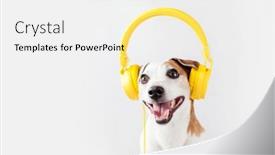  Presentation with pet - Presentation enhanced with cute-dog-with-yellow-headphones background and a white colored foreground
