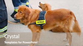  Presentation with police fire - Presentation theme consisting of cute dog working for fire background and a coral colored foreground