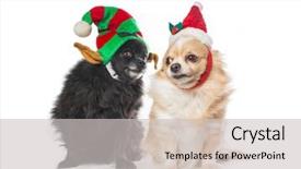  Presentation with costume - Cool new slide set with dogs dressed in a christmas backdrop and a soft green colored foreground