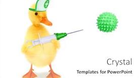  Presentation with duck - Slide set consisting of cute-duckling-doctor-duck background and a white colored foreground